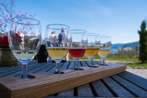 A cider flight at Ciderhuset in Baleestrand.