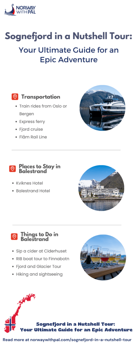 Infographic - Sognefjord in a Nutshell Tour article